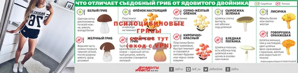 молекула духа Кулебаки
