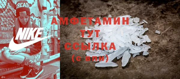 молекула духа Кулебаки