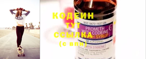 прущие грибы Абинск
