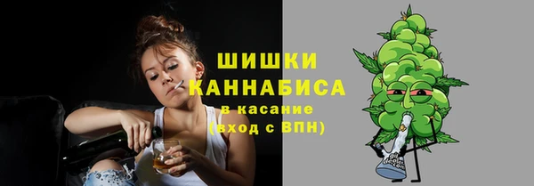 молекула духа Кулебаки