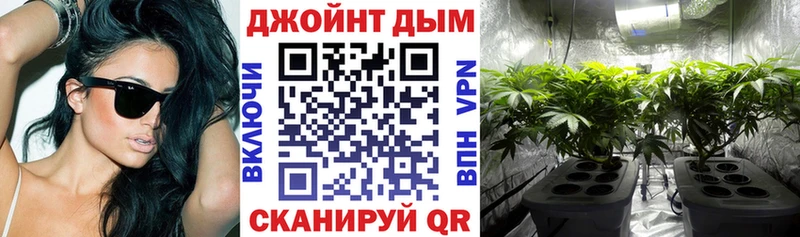 наркота  Новомичуринск  Канабис MAZAR 
